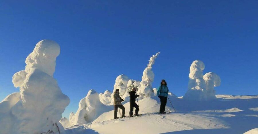 From Ruka: Snowshoeing in Riisitunturi National park - Snow-covered forest and the climb to open views