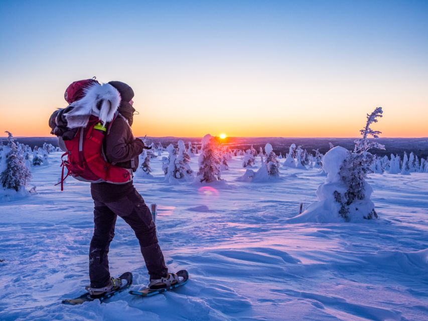From Ruka: Snowshoeing in Riisitunturi National park - What the guide adds to the day