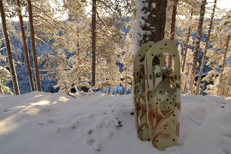 From Ruka: Snowshoeing in Riisitunturi National park - Getting ready for a snowshoe hike