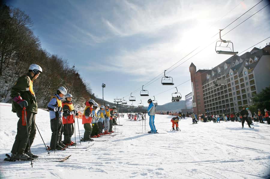 From Seoul: Korea Ski Tour - Jisan Forest Resort - Key points to know before booking