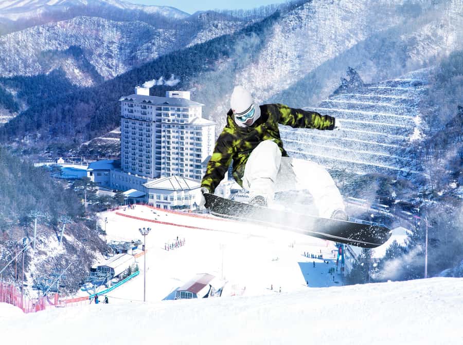 From Seoul: Korea Ski Tour - Jisan Forest Resort - Returning to Seoul for dinner and shopping