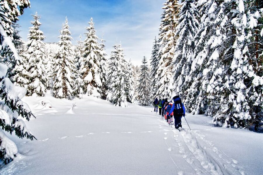 From Sirkka: Levi Summit Guided Nature Snowshoeing Tour - Key points to know before booking