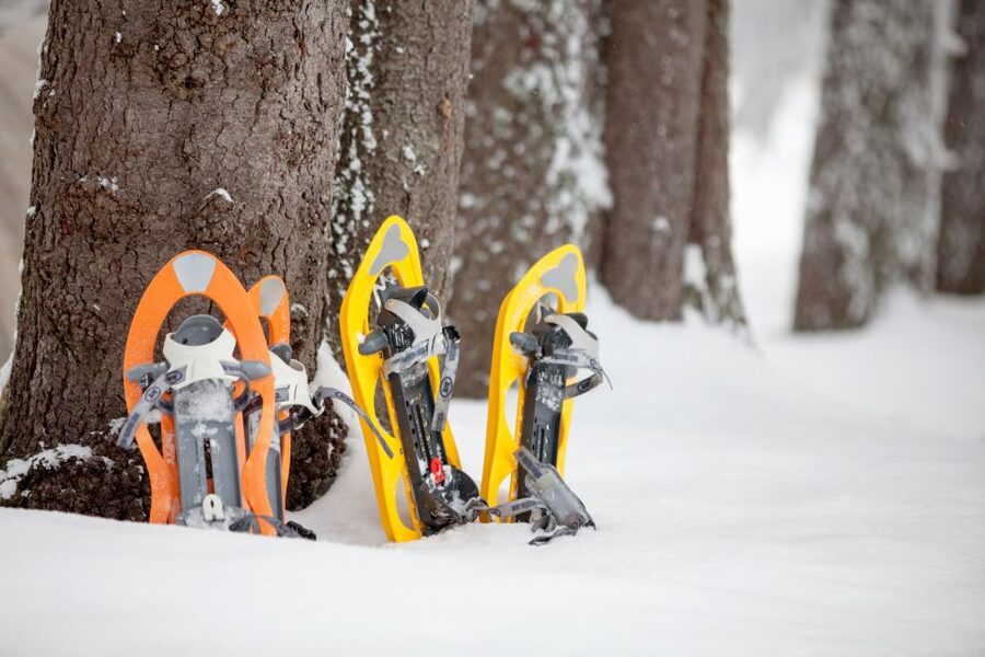 From Sirkka: Levi Summit Guided Nature Snowshoeing Tour - The equipment makes first-time snowshoeing easier