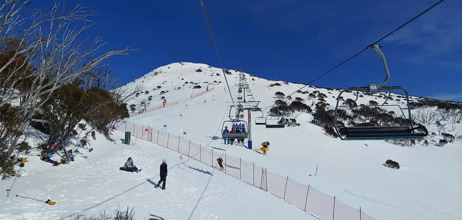 From Sydney 1 Day Perisher Snow Tour - What the free time means for skiers and non-skiers