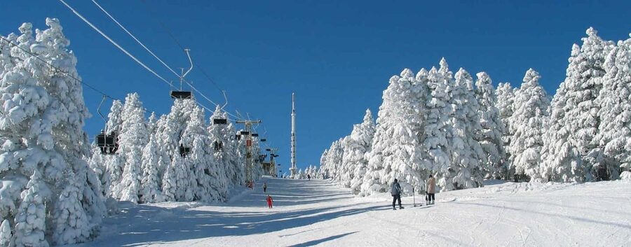 From Tbilisi: Borjomi and Bakuriani Ski resort Day Trip ❄️☃️ - From Tbilisi to the forests of Borjomi