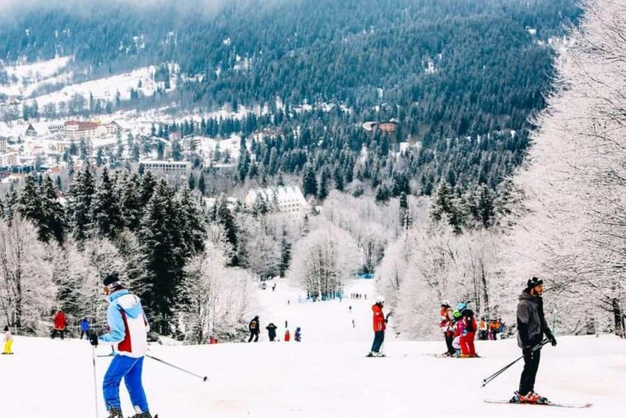 From Tbilisi: Borjomi and Bakuriani Ski resort Day Trip ❄️☃️ - Borjomi’s mineral springs and Central Park