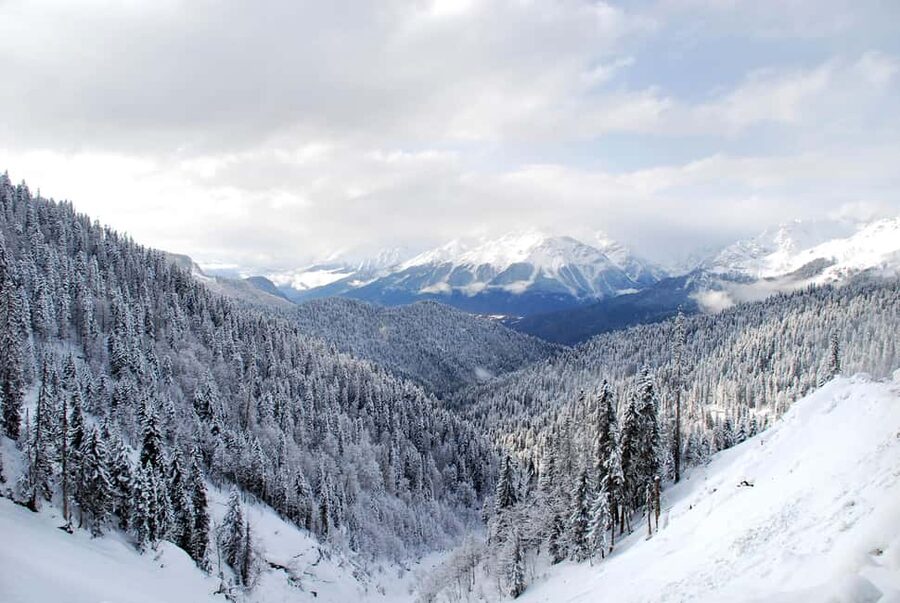 From Tbilisi: Borjomi and Bakuriani Ski resort Day Trip ❄️☃️ - Summer activities and a different Bakuriani