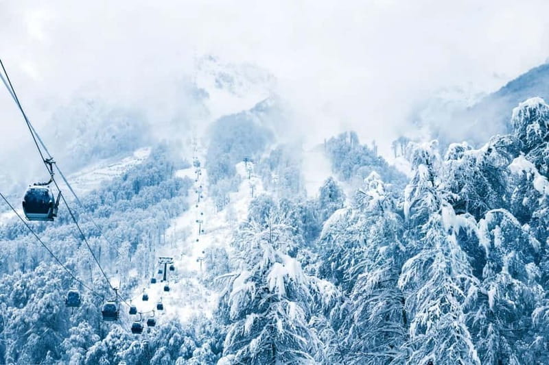From Tbilisi: Borjomi and Bakuriani Ski Resort Private Tour - Key points to know before booking