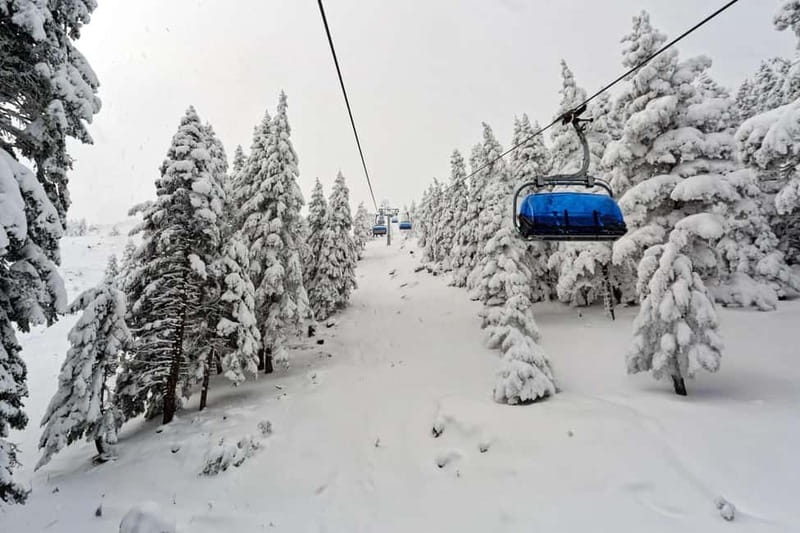 From Tbilisi: Borjomi and Bakuriani Ski Resort Private Tour - Why combine Borjomi and Bakuriani in one day?