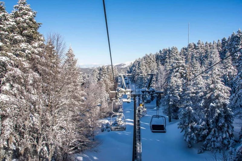 From Tbilisi: Borjomi and Bakuriani Ski Resort Private Tour - Borjomi Central Park and the mineral spring
