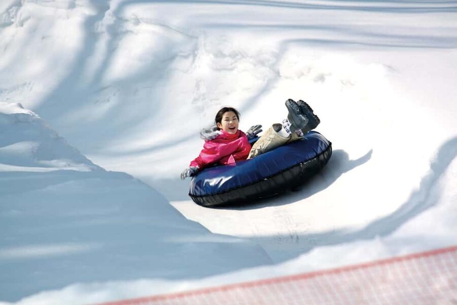 From Tokyo: Fujiyama Snow Resort Yeti Winter Ski Day Tour - Mt. Fuji photographs and the weather gamble