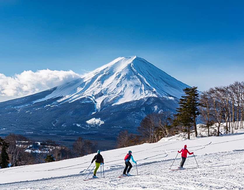 From Tokyo: Fujiyama Snow Resort Yeti Winter Ski Day Tour - Who will get the most from this tour