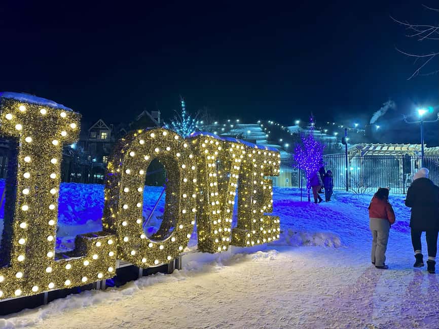 From Toronto: Blue Mountain Day Trip Skiing Snowboarding - Key points to know before booking