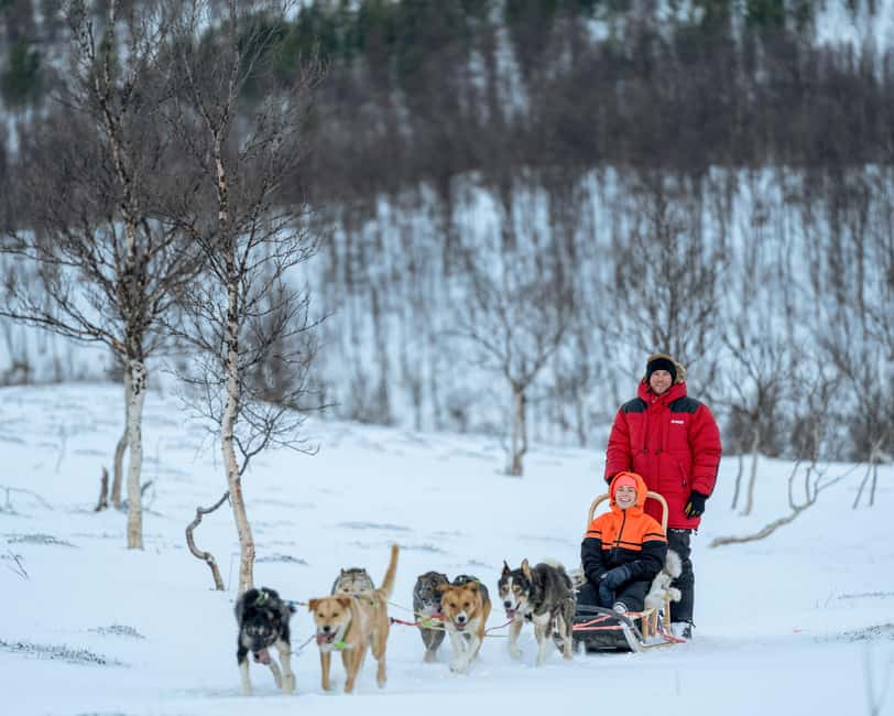 From Tromsø: Advanced Dog Sledding Daytime & Snow Park Visit - Key points to know before booking