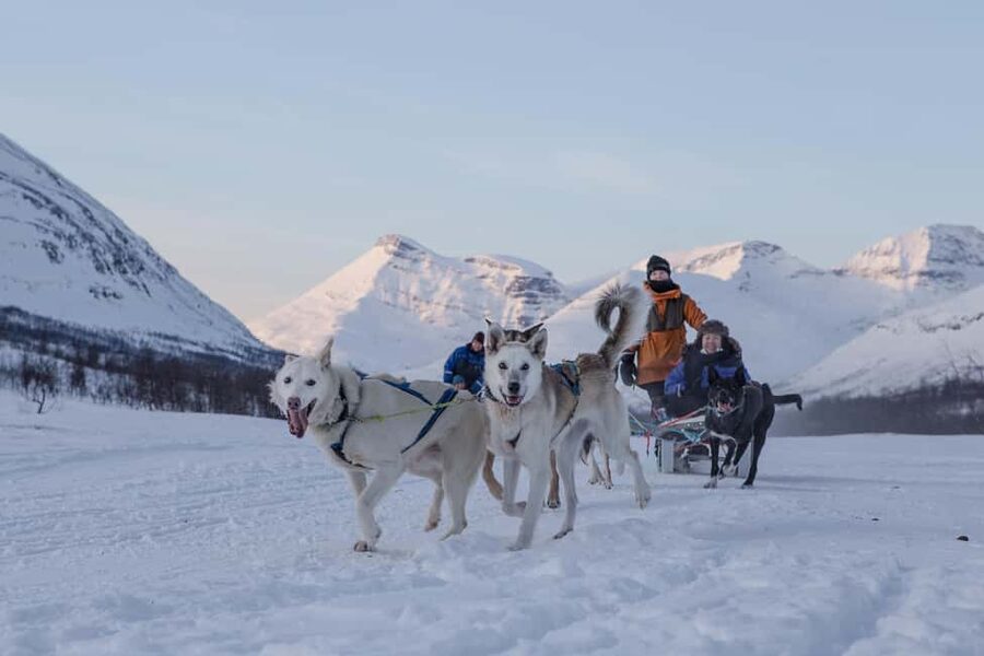 From Tromsø: Advanced Dog Sledding Daytime & Snow Park Visit - A demanding husky adventure outside Tromsø