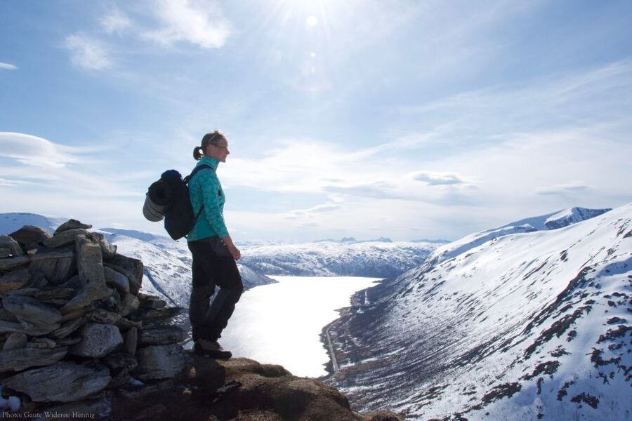 From Tromsø: Daytime Snowshoe Experience with stunning views - Arctic views in the right kind of light
