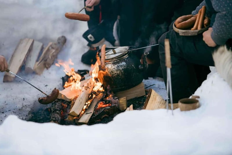 From Tromsø: Daytime Snowshoeing and Snow Park Visit - Key points to know before you book