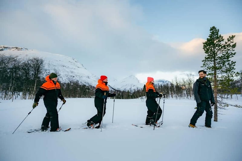 From Tromsø: Daytime Snowshoeing and Snow Park Visit - A quiet walk with useful Arctic skills