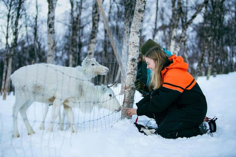 From Tromsø: Daytime Snowshoeing and Snow Park Visit - Tromsø Ice Domes: art, tunnels, and changing snow