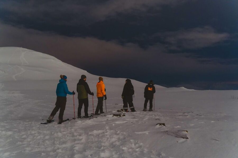 From Tromsø: Evening Fjellheisen Snowshoe Hike and Cable Car - Starting in central Tromsø at Samuel Arnesens gate 5