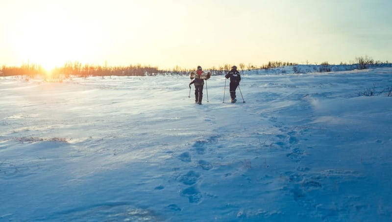 From Tromsø: Guided Husky Snowshoe Hike and Husky Camp Visit - FAQ