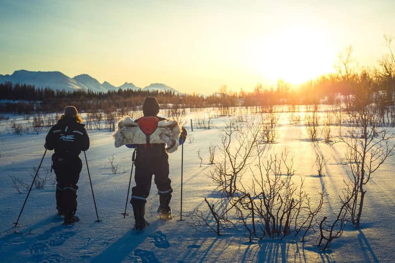 From Tromsø: Guided Husky Snowshoe Hike and Husky Camp Visit - Snowshoeing With One Energetic Husky