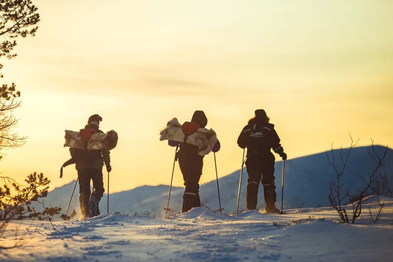 From Tromsø: Guided Husky Snowshoe Hike and Husky Camp Visit - A Fireside Break With Hot Drinks and Cake