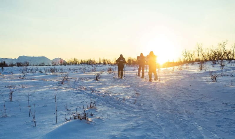 From Tromsø: Guided Husky Snowshoe Hike and Husky Camp Visit - Meeting the 200 Huskies and Their Puppies