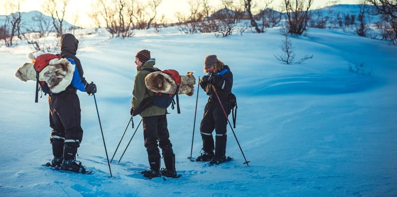 From Tromsø: Guided Husky Snowshoe Hike and Husky Camp Visit - Is $187 Good Value?