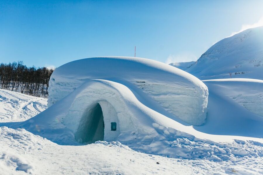 From Tromsø: Ice Domes Snow Park and Wilderness Experience - How the timing affects the experience