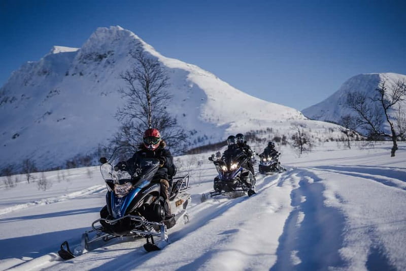From Tromsø: Snowmobiling at Camp Tamok & Snow Park Visit - Meeting the huskies and reindeer