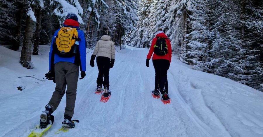 From Tromsø: Snowshoe Hike in the Arctic - Key points to know before you book