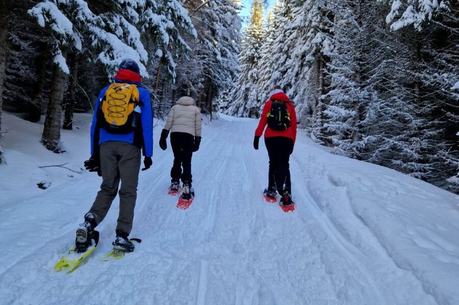 From Tromsø: Snowshoe Hike in the Arctic - Meeting at the waterfront and driving to Ersfjordbotn