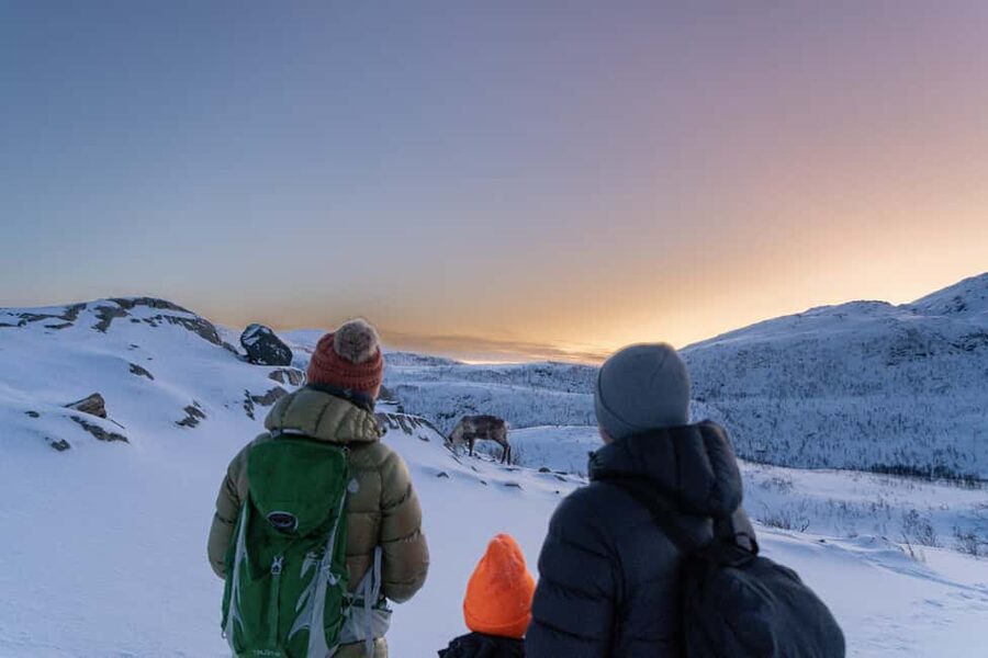 From Tromsø: Snowshoe Hike with Local Guides - Quick takeaways