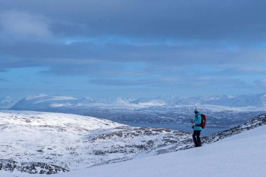 From Tromsø: Snowshoe Hike with Local Guides - A simple outdoor lunch with hot drinks