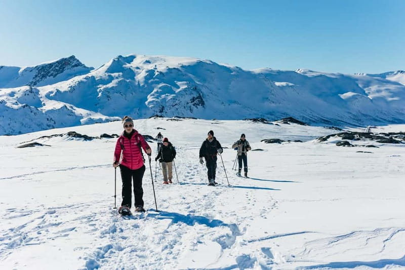 From Tromsø: Snowshoeing Hike with Picnic Lunch and Photos - Key points to know before booking