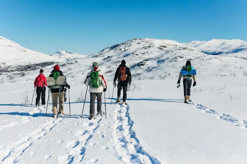 From Tromsø: Snowshoeing Hike with Picnic Lunch and Photos - Fjord views, winter light, and wildlife