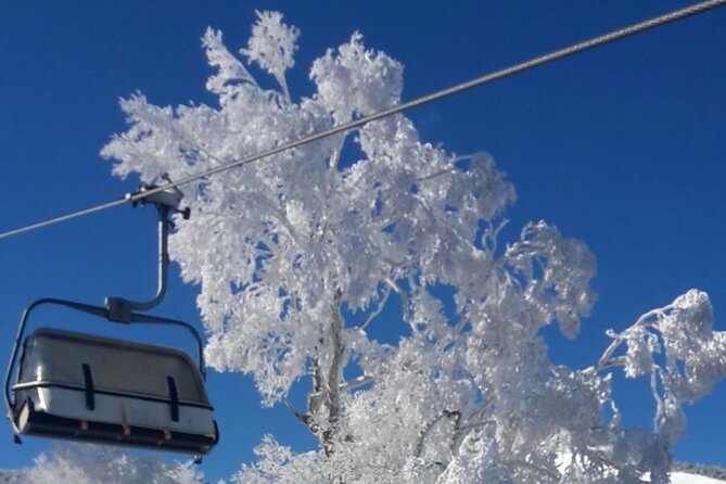 Full Day Ski Lesson (6 hours) in Yuzawa, Japan - Planning the 9:00 a.m. meeting