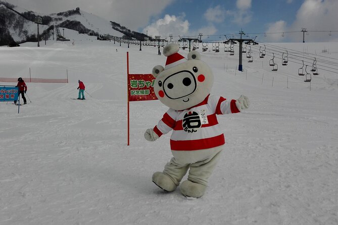 Full Day Ski Lesson (6 hours) in Yuzawa, Japan - How the private format helps stronger skiers