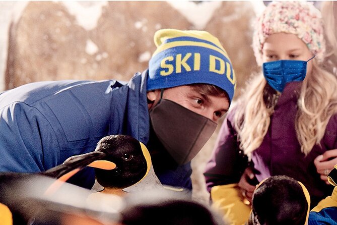 Full-day Snow Ski in Dubai - Choosing between skiing, snowboarding, and snow play