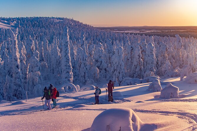 Full-Day Snowshoeing Adventure in Amethyst Mine Pyhä Luosto - What the $250.17 price includes in practical terms