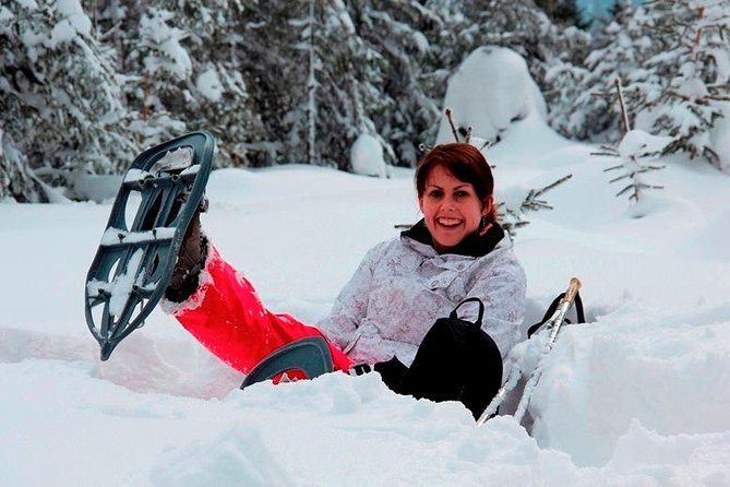 Full-Day Snowshoeing in High Tatras with Local Mountain Guide from Poprad - Walking into the snowy High Tatras