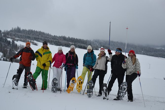 Full-Day Snowshoeing in High Tatras with Local Mountain Guide from Poprad - Why the private format matters