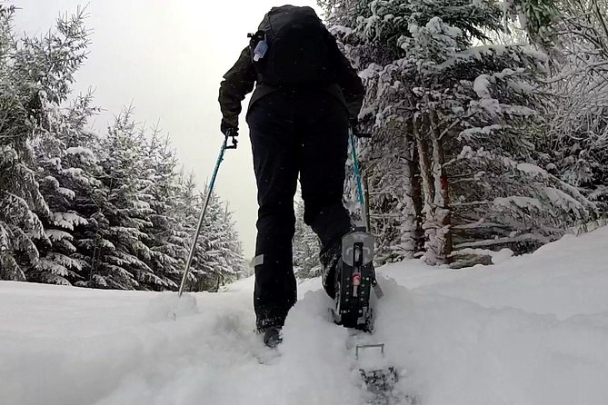 Full-Day Snowshoeing in High Tatras with Local Mountain Guide from Poprad - Meeting Erik or Tom on the trail