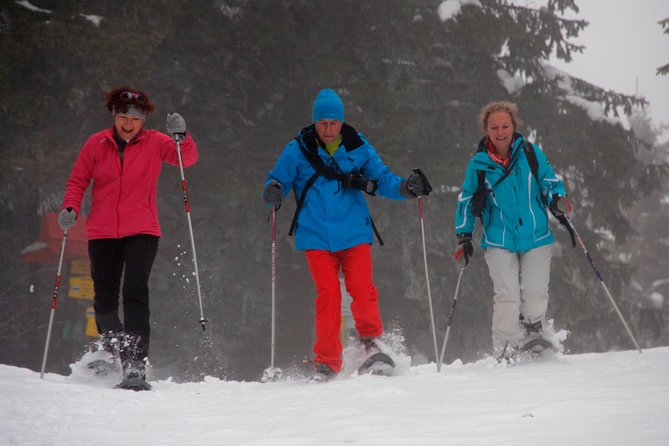 Full-Day Snowshoeing in High Tatras with Local Mountain Guide from Poprad - What the price includes, and what it does not
