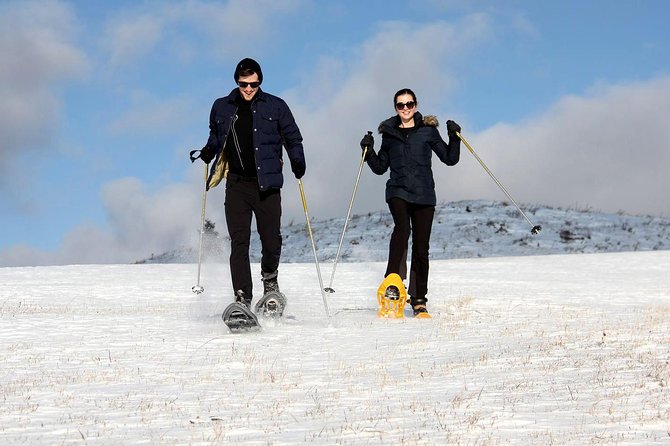 Full-Day Snowshoeing in High Tatras with Local Mountain Guide from Poprad - Who will enjoy this most