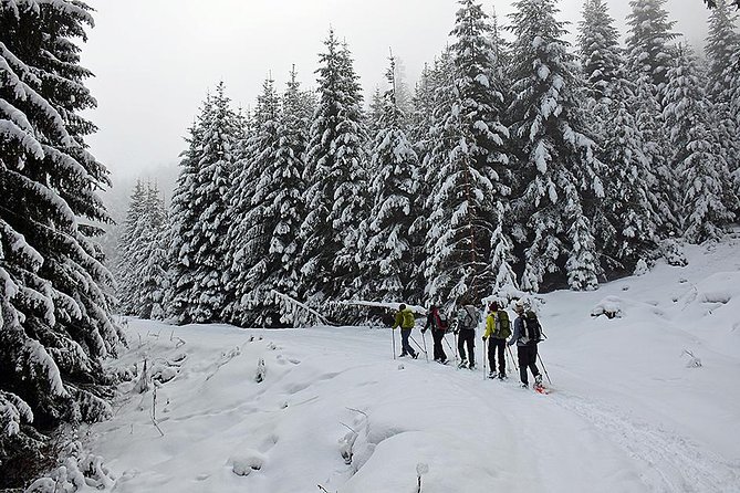 Full-day Vitosha Mountain Snowshoe Hiking Tour from Sofia - Key points before you book