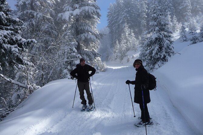 Full-day Vitosha Mountain Snowshoe Hiking Tour from Sofia - The 45-minute ride to Aleko resort