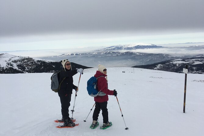 Full-day Vitosha Mountain Snowshoe Hiking Tour from Sofia - Who will enjoy this Vitosha tour most?