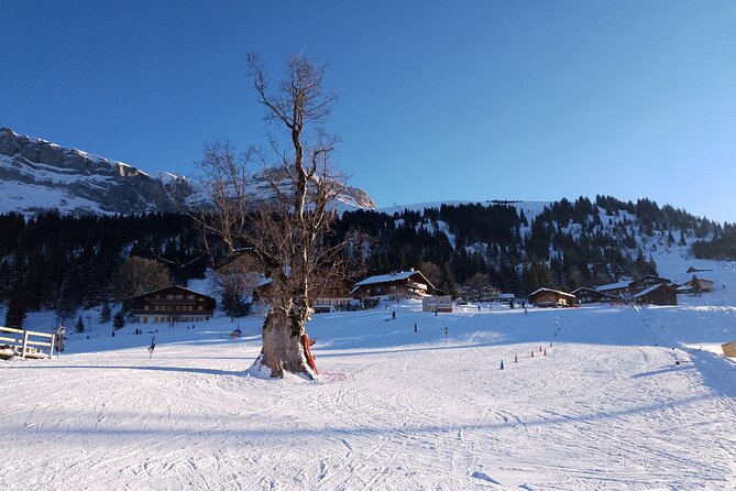 Fully organized Ski Experience for Private Groups - Why the private format matters